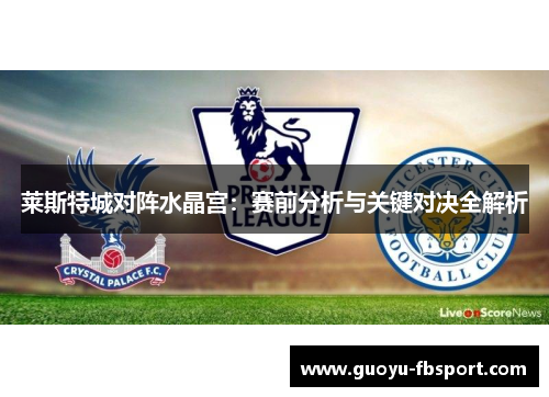 莱斯特城对阵水晶宫:赛前分析与关键对决全解析 莱斯特城对阵水晶宫:赛前分析与关键对决全解析