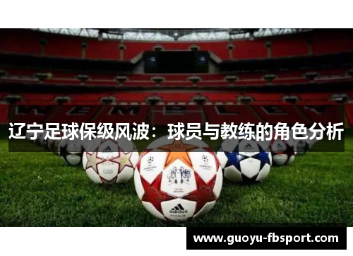 辽宁足球保级风波:球员与教练的角色分析