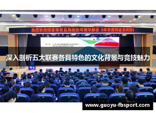 深入剖析五大联赛各具特色的文化背景与竞技魅力