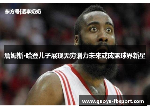 詹姆斯·哈登儿子展现无穷潜力未来或成篮球界新星